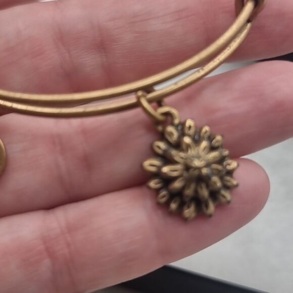 ALEX AND ANI BRONZE SUNBURST BRACLET - Picture 2 of 6